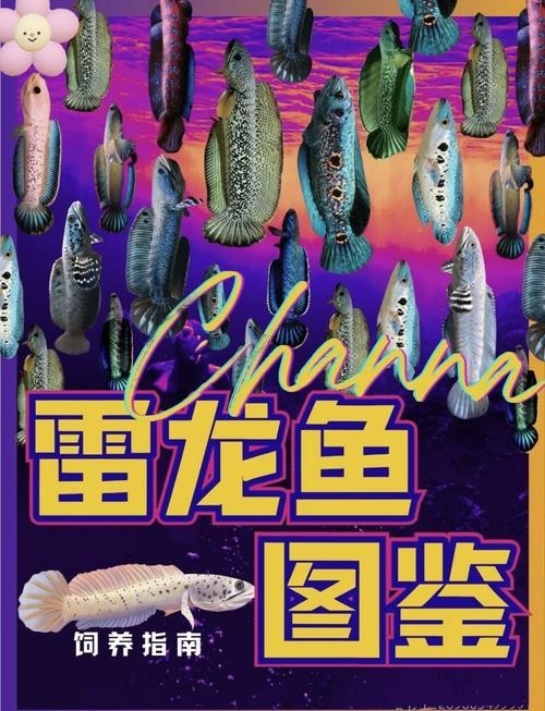雷龍魚圖片大全欣賞