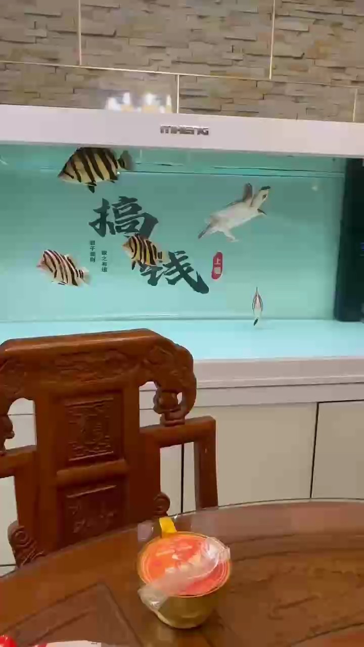 創海魚缸的口碑和質量如何：創海魚缸設計風格選擇