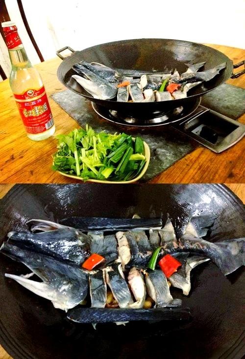 順德火龍魚