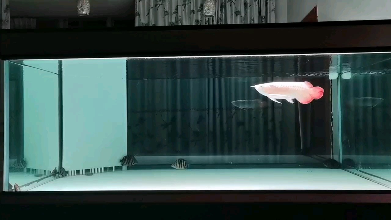 心靜！