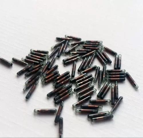 馬來西亞金龍魚芯片查詢