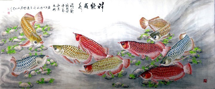高要區南岸嘉寶水族店（高要區南岸嘉寶水族店電話）