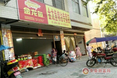 江寧區(qū)孫小寵水族館