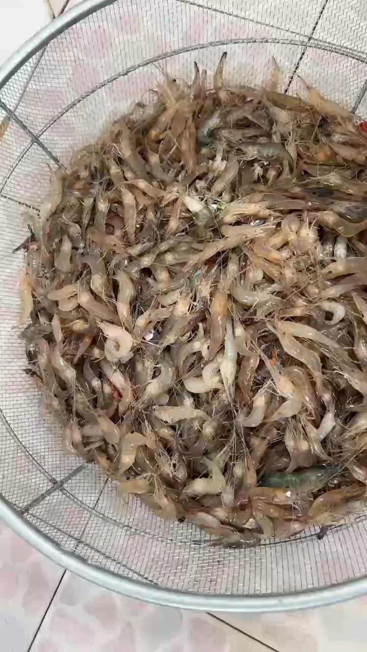 新賽季要加油