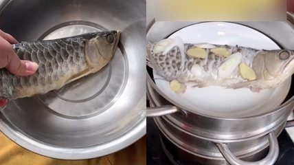 懷仁縣廣源水族店（懷仁縣廣源水族店電話）
