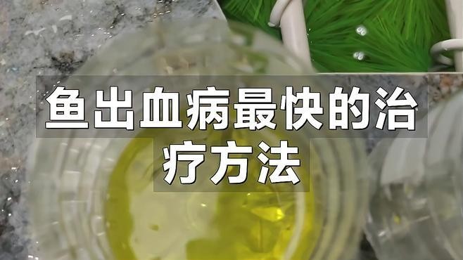 銀龍魚鱗變紅是什么原因造成的