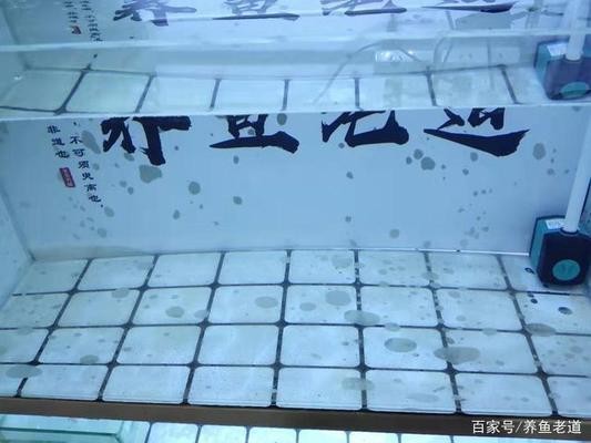 <strong><mark>北京</mark></strong>良勇水族商貿(mào)有限公司（<strong><mark>北京</mark></strong>良勇水族商貿(mào)有限公司怎么樣）
