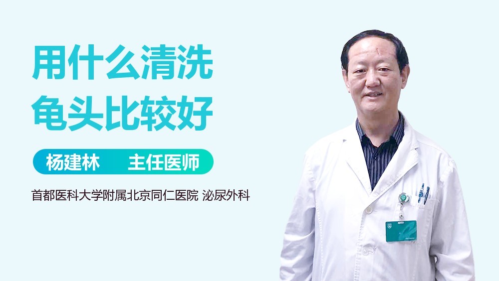 龍龜擺件多久清潔一次合適？ 龍龜擺件多久清潔一次合適？ 龍魚百科 第4張