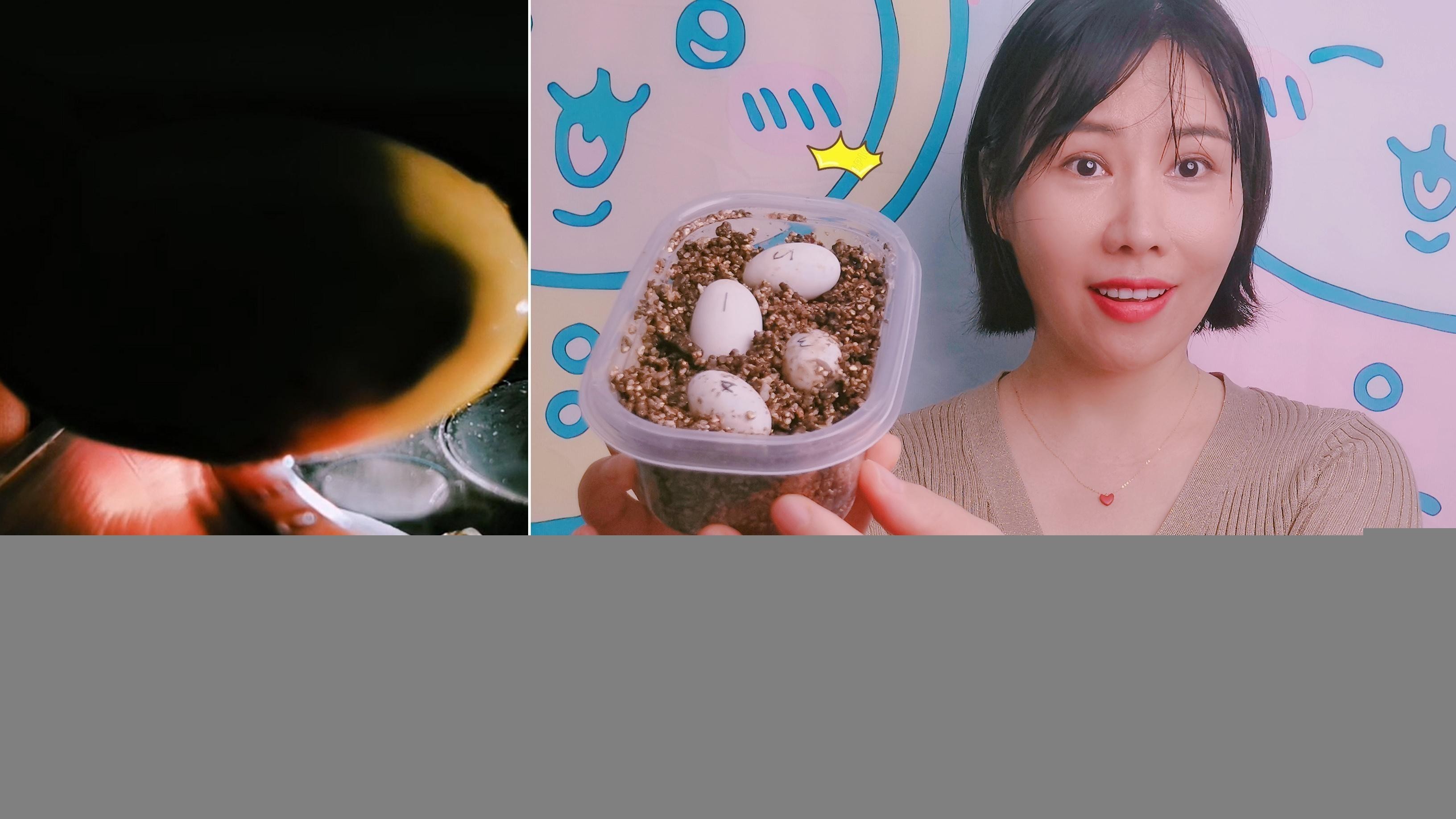 龍龜擺件多久清潔一次合適？ 龍龜擺件多久清潔一次合適？ 龍魚百科 第5張
