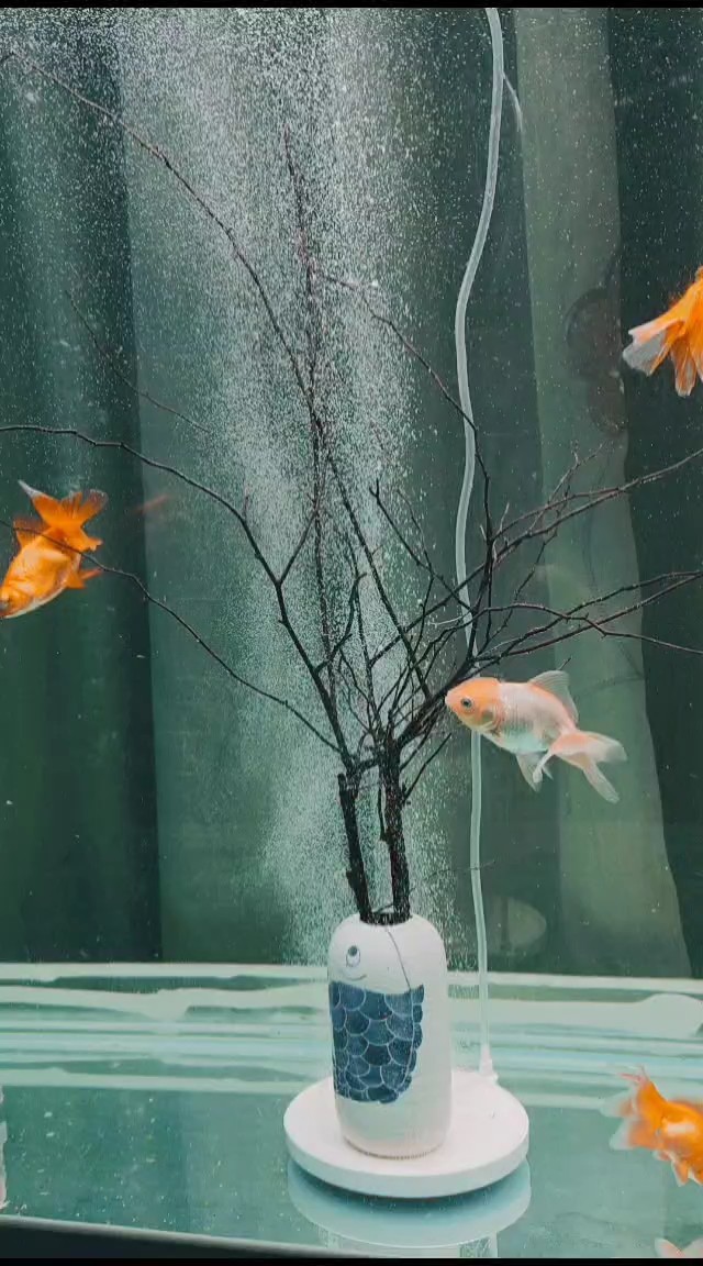 納米氣盤魚缸造景 納米氣盤魚缸造景 龍魚論壇