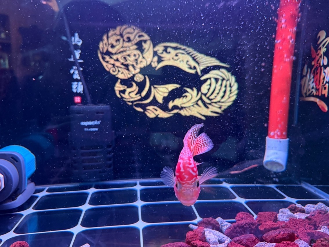 25天