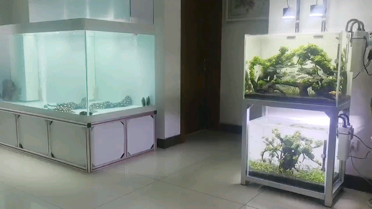 不是在折騰就是在折騰的路上[huaixiao]