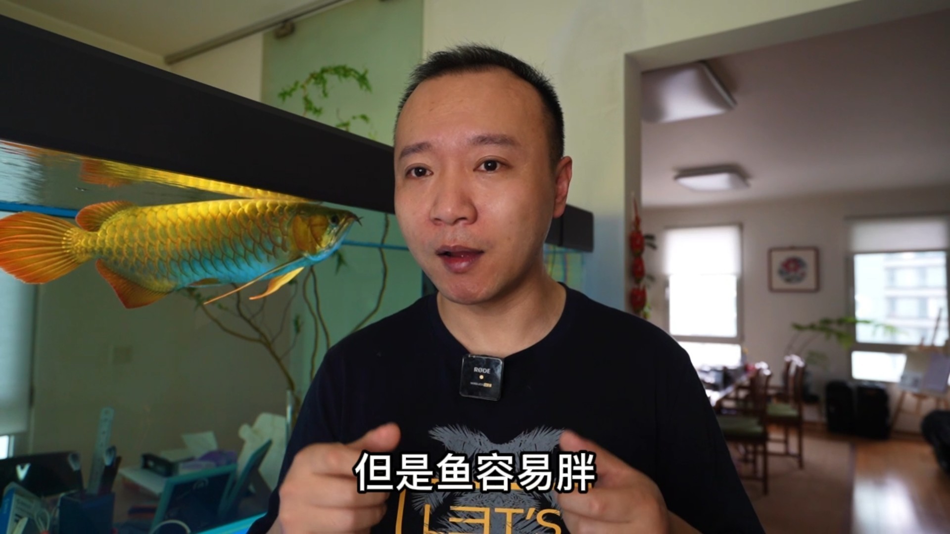 龍魚開口后應(yīng)該如何喂養(yǎng)？ 龍魚開口后應(yīng)該如何喂養(yǎng)？ 龍魚百科 第2張