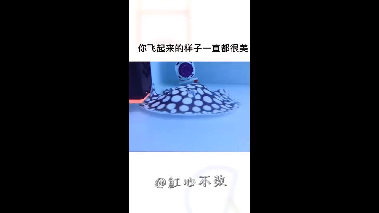 有余水族生態