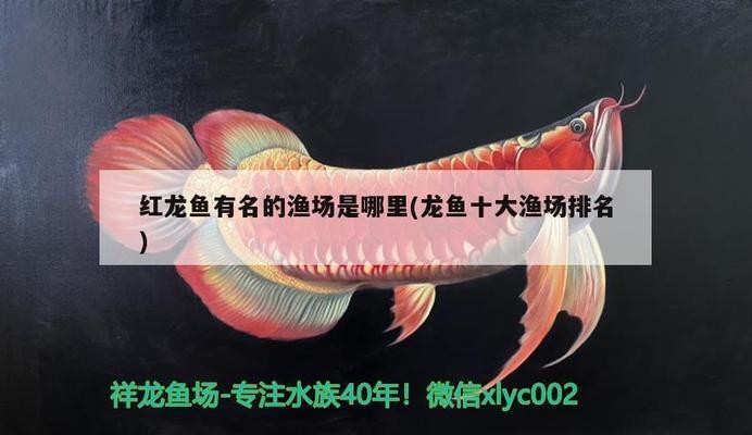 魚缸用增氧泵價格是多少:魚缸增氧機-xtrac增氧機-xtrac增氧機 即墨市淡水海邊水族店(即墨市淡水海邊水族店電話) 全國水族館企業(yè)名錄 即墨市淡水海邊水族店(即墨市淡水海邊水族店電話) 即墨市淡水海邊水族店(即墨市淡水海邊水族店電話) 全國水族館企業(yè)名錄