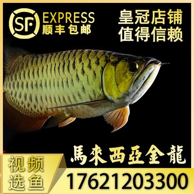 黑龍江永輝超市有限公司哈爾濱松北萬達(dá)城店（哈爾濱松北萬達(dá)永輝超市電話）