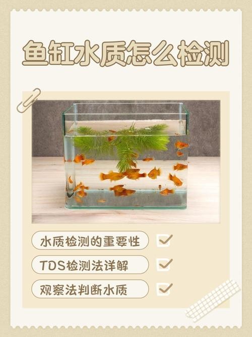 龍魚為什么會撞缸呢圖片解釋