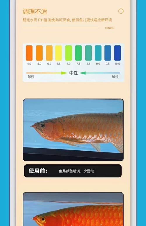 龍魚為什么會撞缸呢圖片解釋