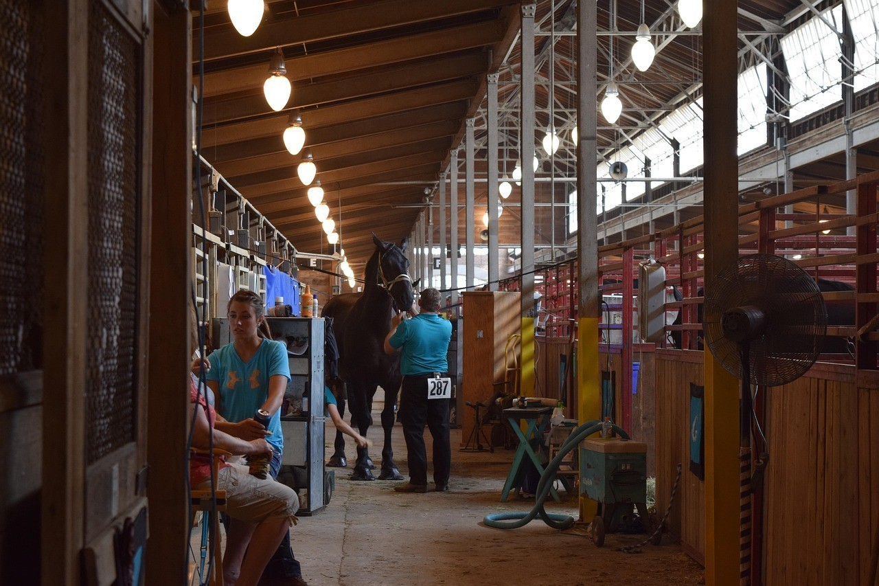 張家港市楊舍西城愛家水族店（張家港市楊舍西城愛家水族店電話）