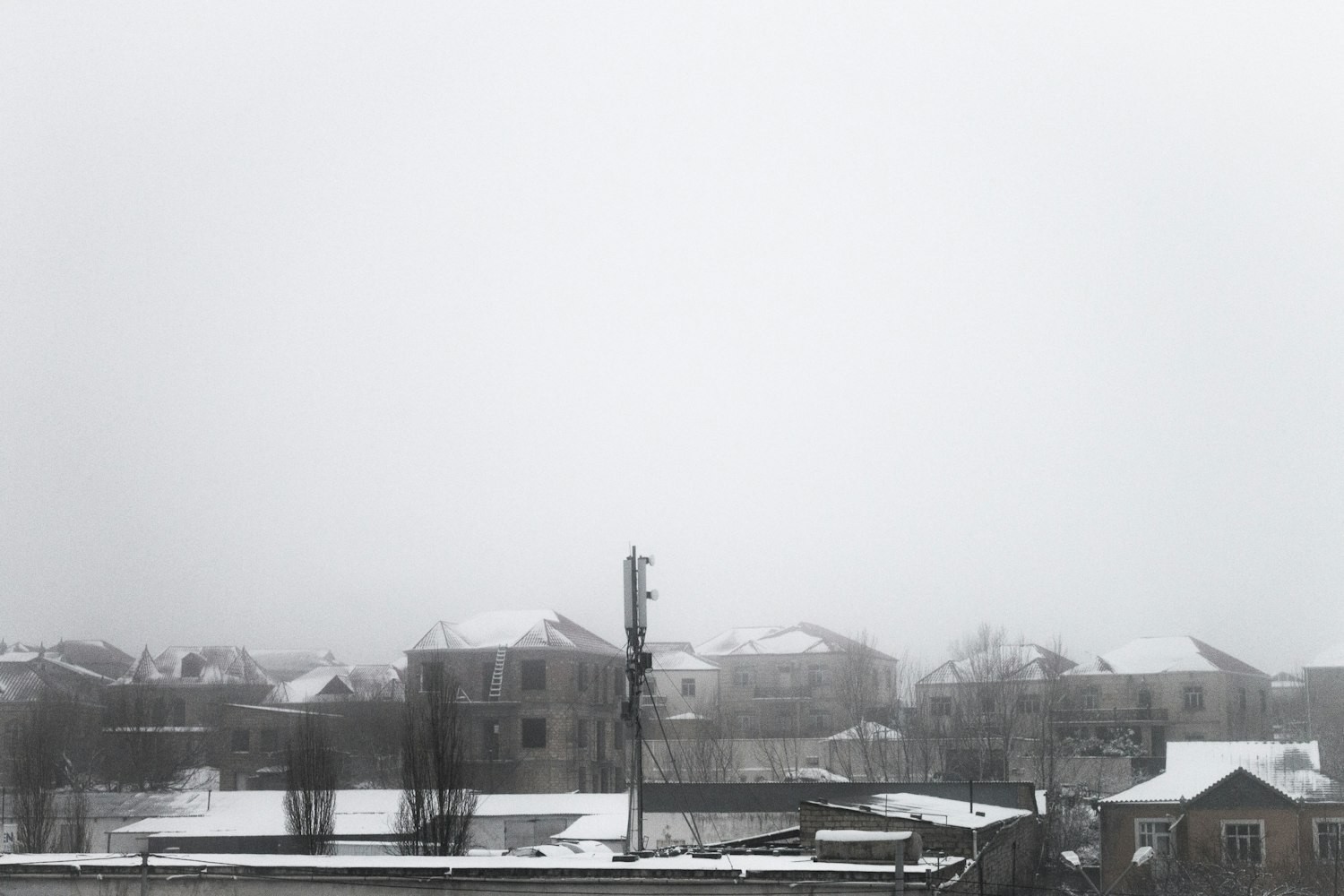 雪龍魚是一種生活在南極洲海域的珍稀魚類，雪龍魚的生活習(xí)性，南極洲的瑰寶雪龍魚