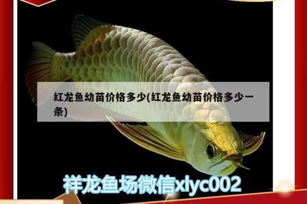 烏拉特后旗巴音寶力格鎮(zhèn)太公漁具店