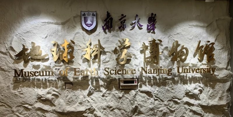 龍魚缸底濾什么濾材好用 龍魚缸底濾什么濾材好用 龍魚百科 第6張