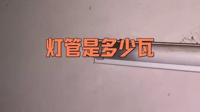 龍魚燈用日光燈還是led