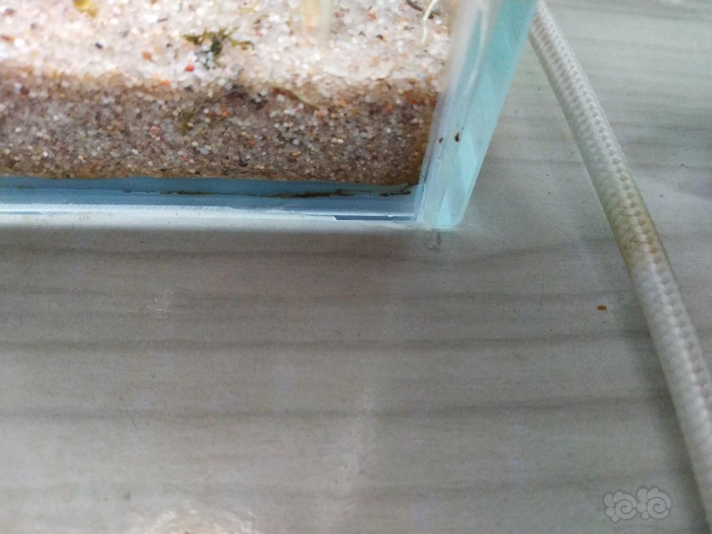 太原市萬柏林區(qū)花鳥魚市長盛魚店