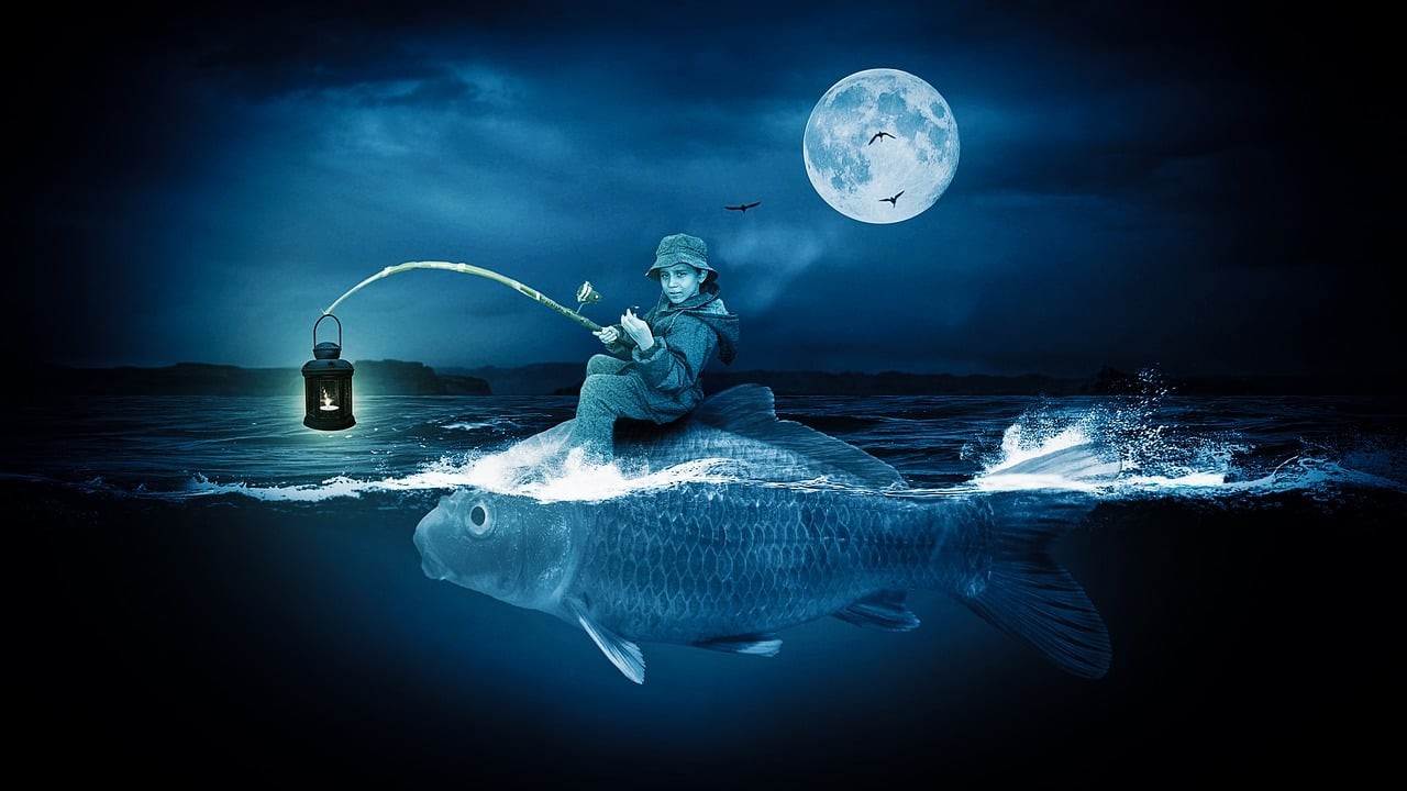 龍魚斷氣了的朋友圈說說 龍魚斷氣了的朋友圈說說 龍魚論壇 第2張