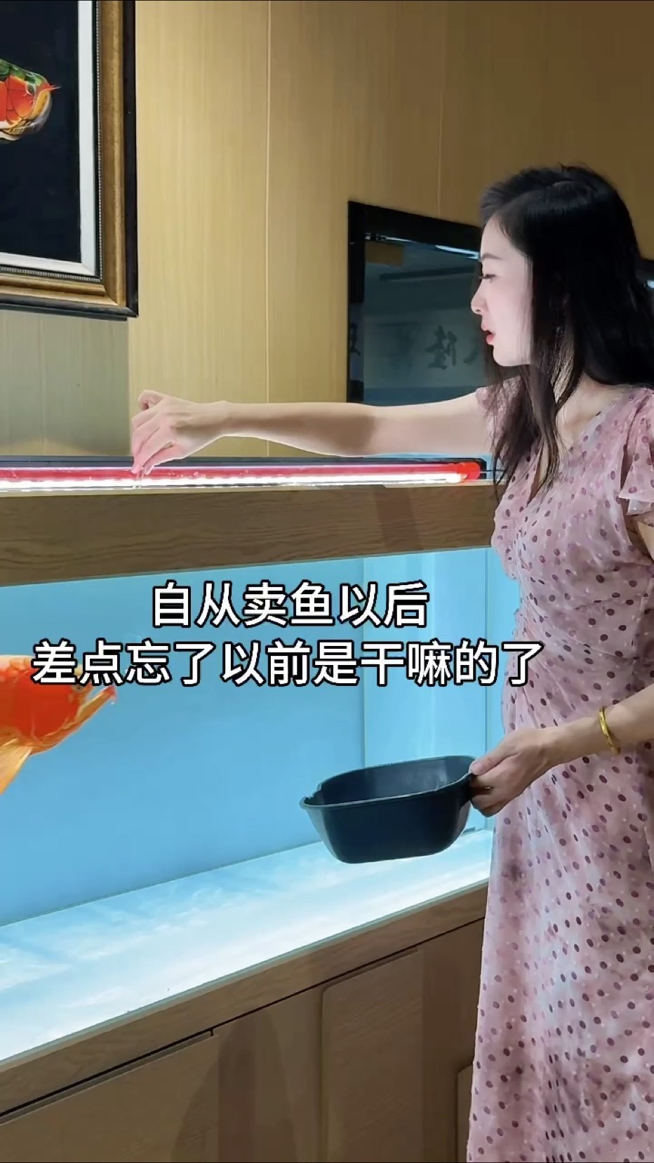 差點忘了以前是干嘛的！[摳鼻] #萬隆天王紅龍 #龍魚 #差點忘了以前的自己