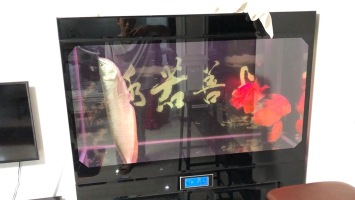 玻璃做魚缸怎么粘才牢固:如何自制玻璃魚缸 紅龍魚的壽命有多長時間啊圖片大全視頻(紅龍魚的壽命有多長時間啊圖片大全視頻講解) 龍魚百科 紅龍魚的壽命有多長時間啊圖片大全視頻(紅龍魚的壽命有多長時間啊圖片大全視頻講解) 紅龍魚的壽命有多長時間啊圖片大全視頻(紅龍魚的壽命有多長時間啊圖片大全視頻講解) 龍魚百科
