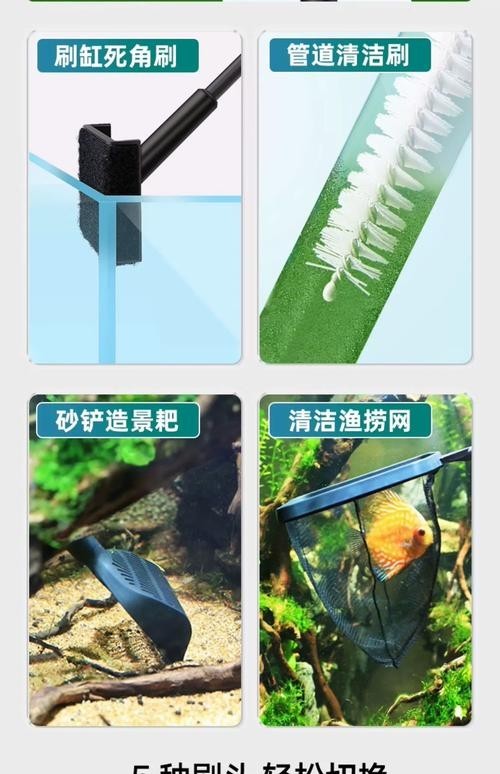 龍魚缸除綠藻的最好方法是什么