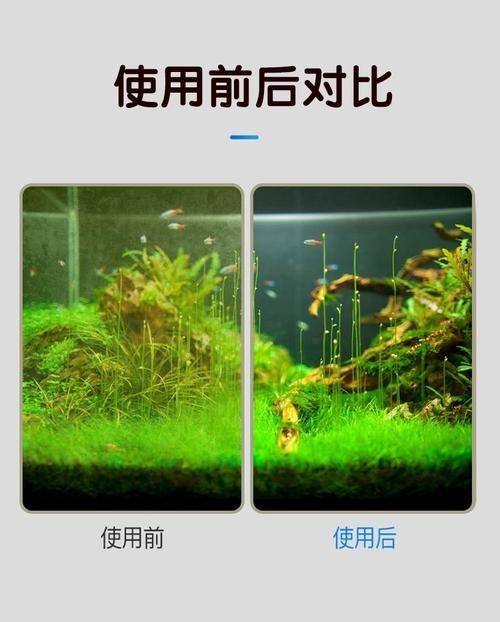 龍魚缸除綠藻的最好方法是什么
