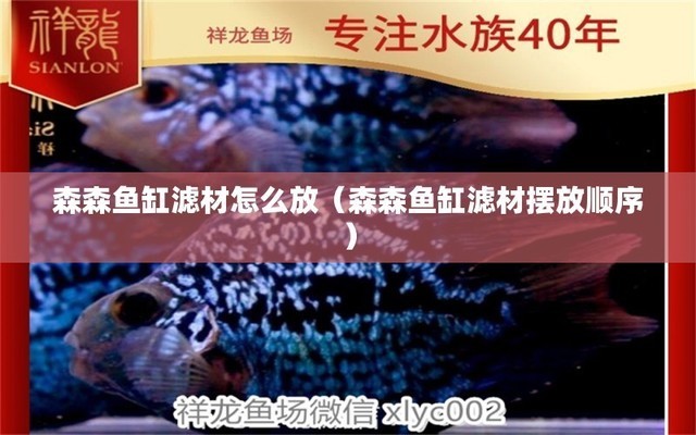 深圳市寶安區觀瀾莊記水族養殖場（深圳市寶安區觀瀾莊記水族養殖場地址）
