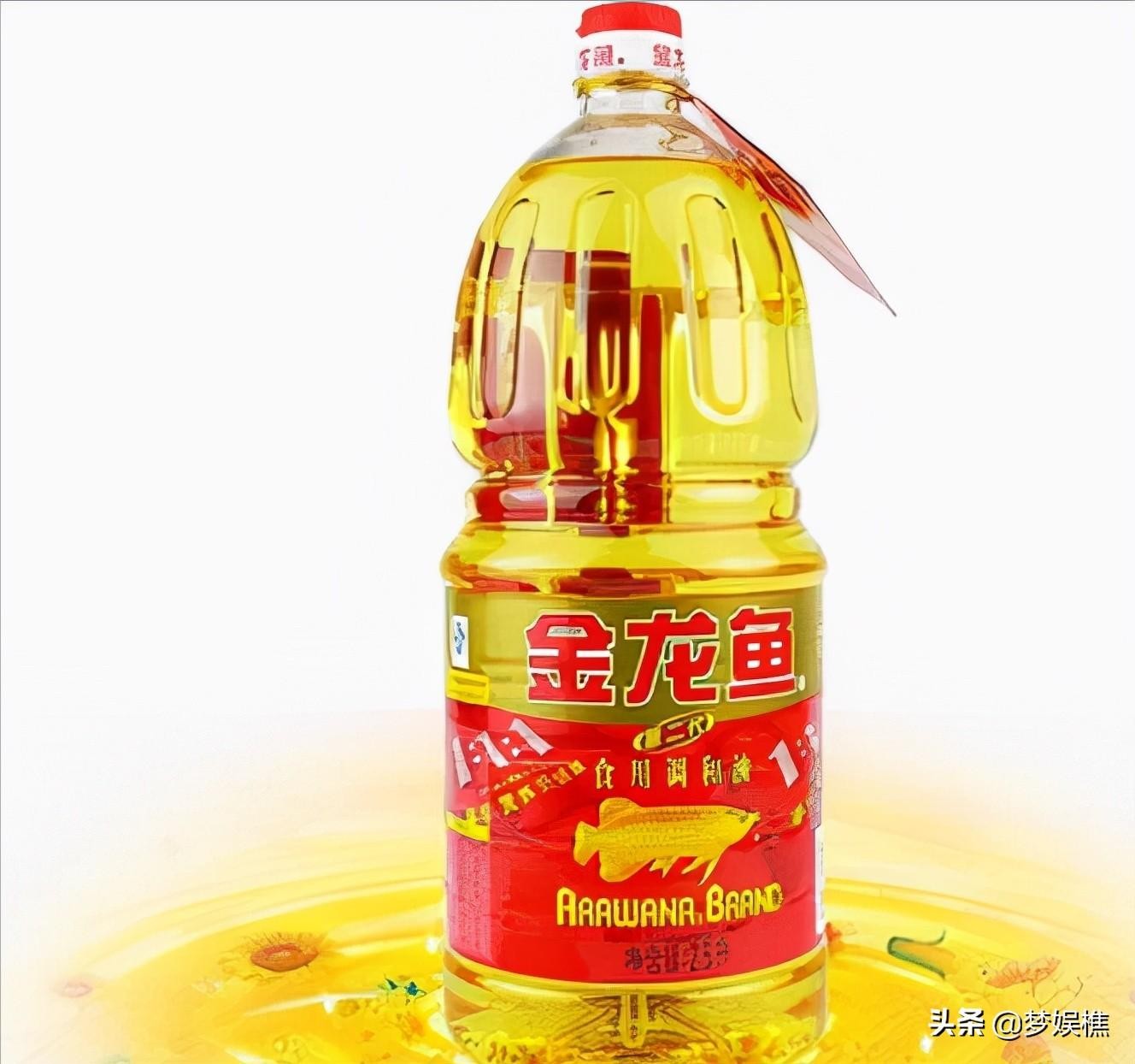 東營區(qū)魚草缸木水族工作室：東營區(qū)魚草缸木水族工作室地址