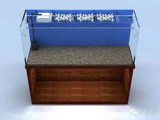 給大魚缸換水的作文:體驗給大魚缸換水的樂趣:體驗給大魚缸換水:給大魚缸換水的作文 西寧市城西區楊曉森魚店(西寧楊曉斌) 全國水族館企業名錄 西寧市城西區楊曉森魚店(西寧楊曉斌) 西寧市城西區楊曉森魚店(西寧楊曉斌) 全國水族館企業名錄