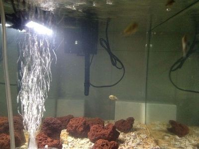 太原市尖草坪區欣旺水族店（太原市尖草坪區欣旺水族店電話號碼）