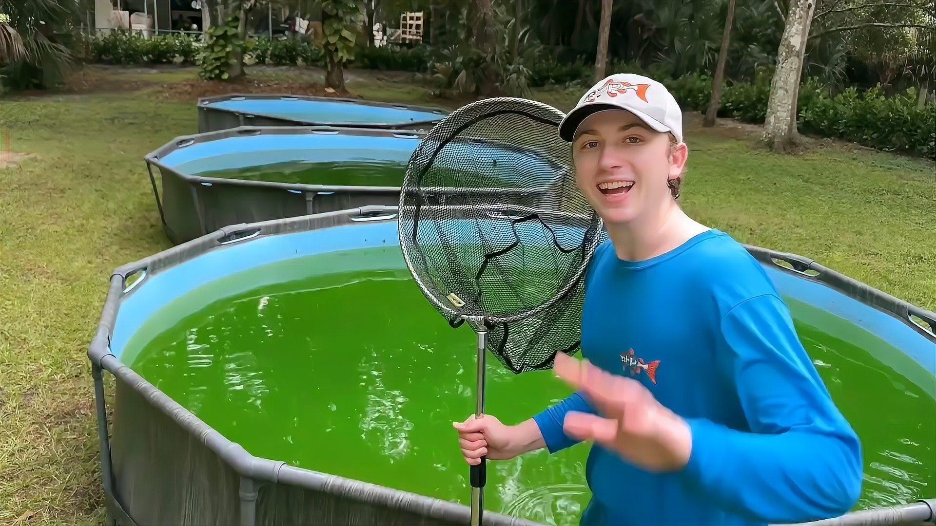 銀龍魚缸造景圖片欣賞 銀龍魚缸造景圖片欣賞 龍魚百科 第20張