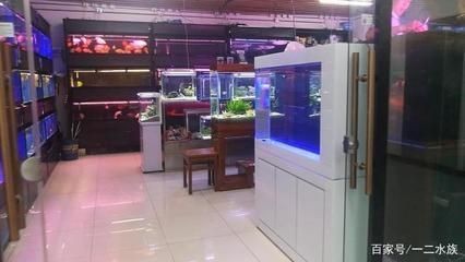 連州市永盛水族館（連州市永盛水族館電話）