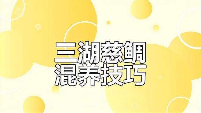 黑云魚能和龍魚混養嗎圖片欣賞