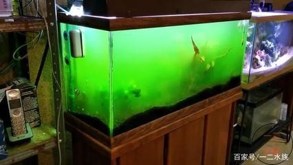 青岡縣青岡鎮花香水族館（青岡花店）