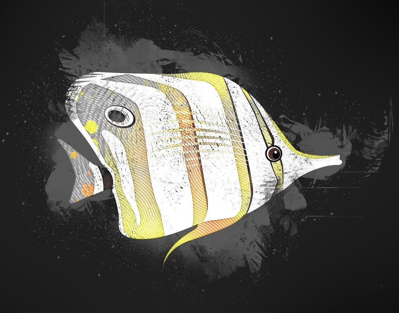 黃鰭鯛魚是海魚嗎 黃鰭鯛魚是海魚嗎 龍魚論壇 第1張