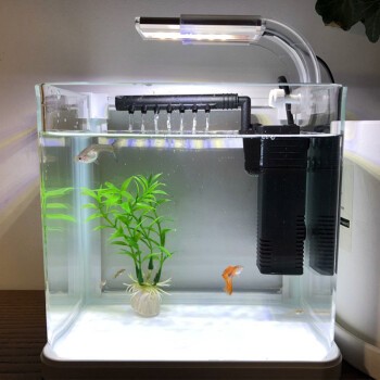 大同市礦區(qū)陳家好多魚水族館