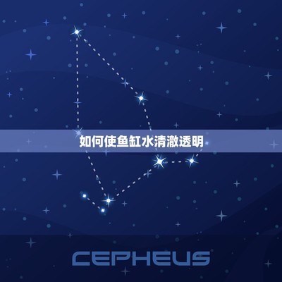 北京豫輝<strong><mark>金堂</mark></strong>觀賞魚店