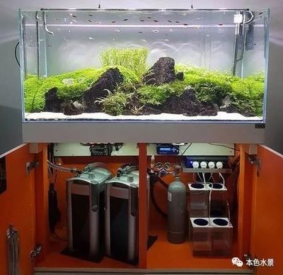 觀賞魚缸加盟的注意事項:觀賞魚缸加盟是一個相對復雜的過程涉及到多個步驟和條件 魚缸百科 第1張 觀賞魚缸加盟的注意事項:觀賞魚缸加盟是一個相對復雜的過程涉及到多個步驟和條件 觀賞魚缸加盟的注意事項:觀賞魚缸加盟是一個相對復雜的過程涉及到多個步驟和條件 魚缸百科 第1張