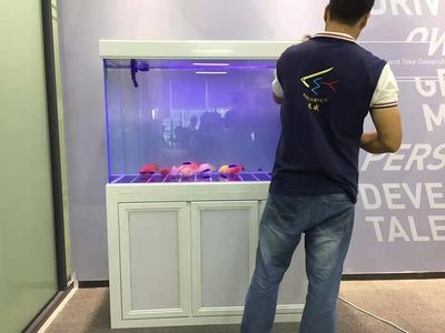 觀賞魚缸加盟的注意事項：觀賞魚缸加盟是一個相對復雜的過程涉及到多個步驟和條件 觀賞魚缸加盟的注意事項：觀賞魚缸加盟是一個相對復雜的過程涉及到多個步驟和條件 魚缸百科 第2張
