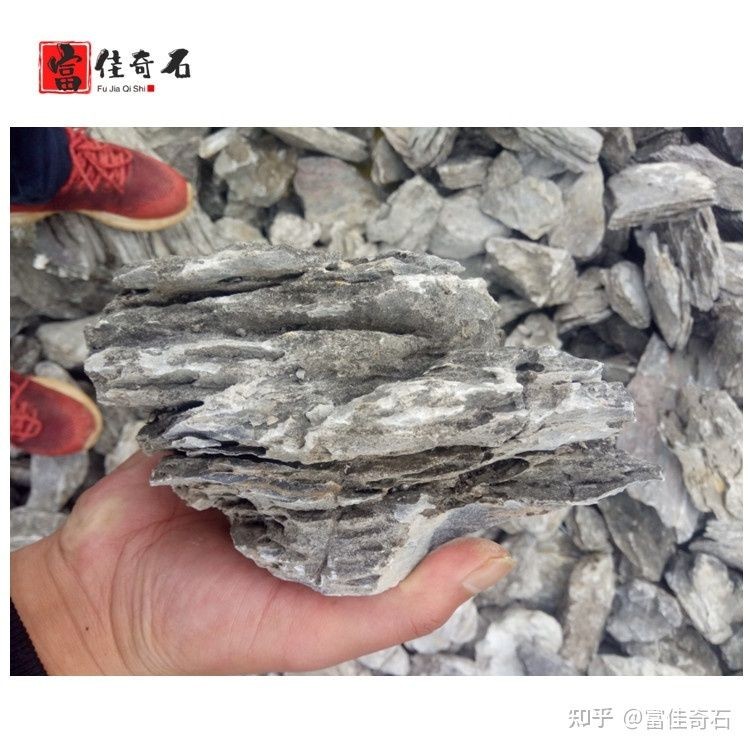 魚缸造景的藝術與技巧：風化石魚缸造景的藝術與技巧