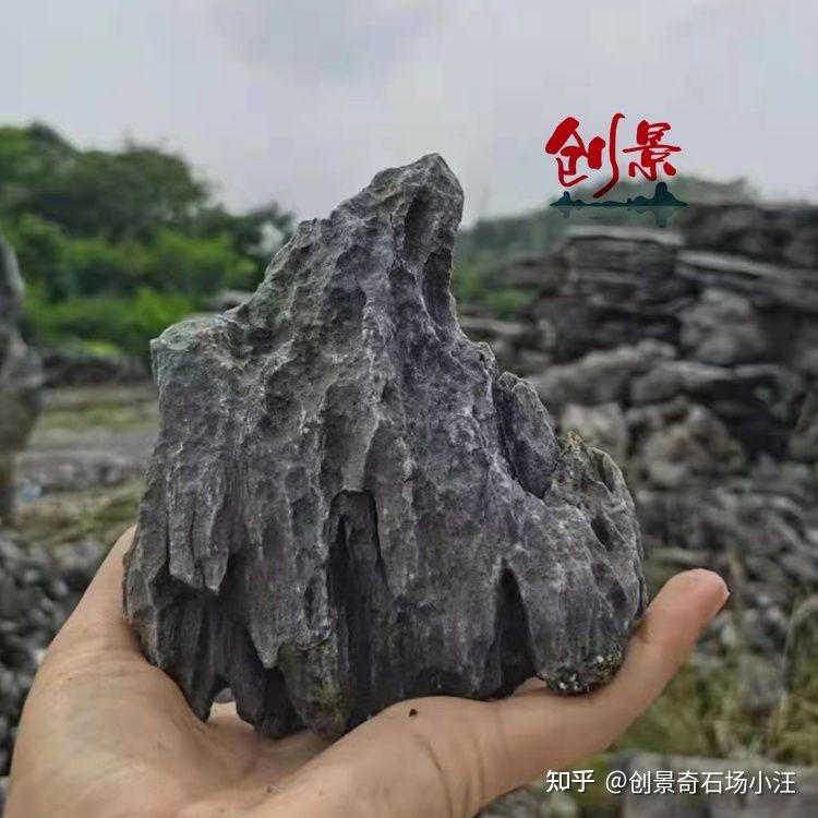 魚缸造景的藝術與技巧：風化石魚缸造景的藝術與技巧