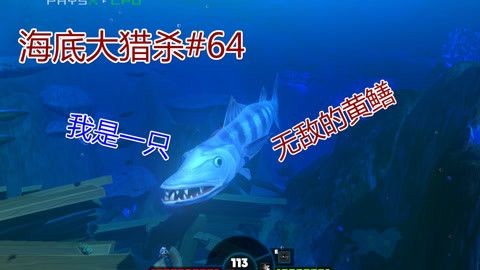 夢魚缸視頻：夢魚缸視頻更新頻率夢魚缸視頻主題內容評價