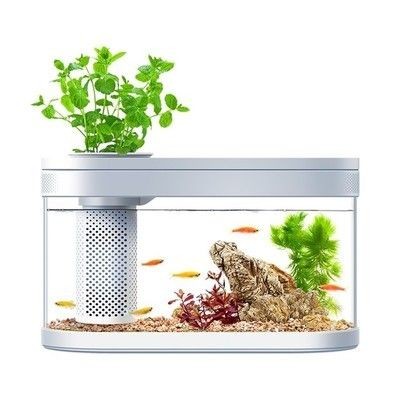 小米魚缸多少錢：小米魚缸價(jià)格一般多少錢？